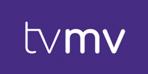 Palle Graff Mouritsen, Projektmedarbejder